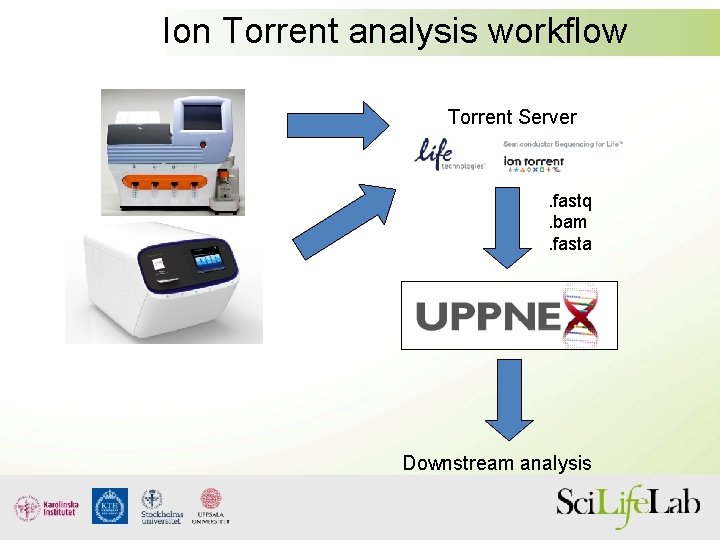 Ion Torrent analysis workflow Torrent Server . fastq. bam. fasta Downstream analysis 