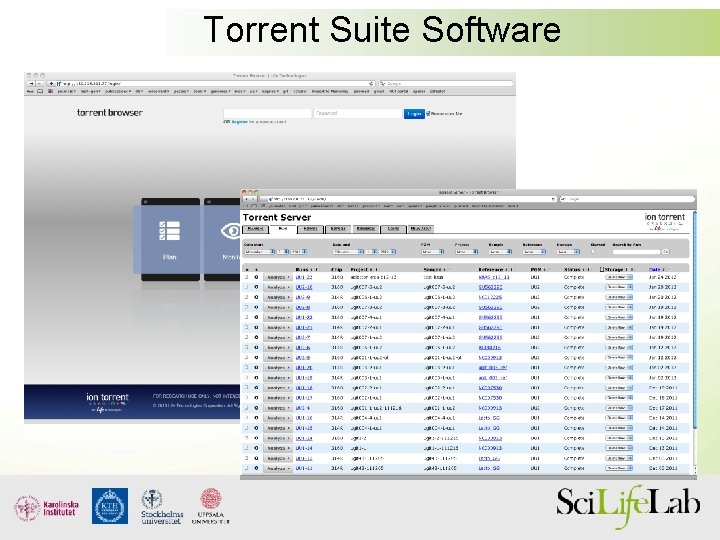 Torrent Suite Software 