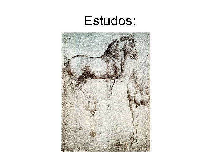 Estudos: 