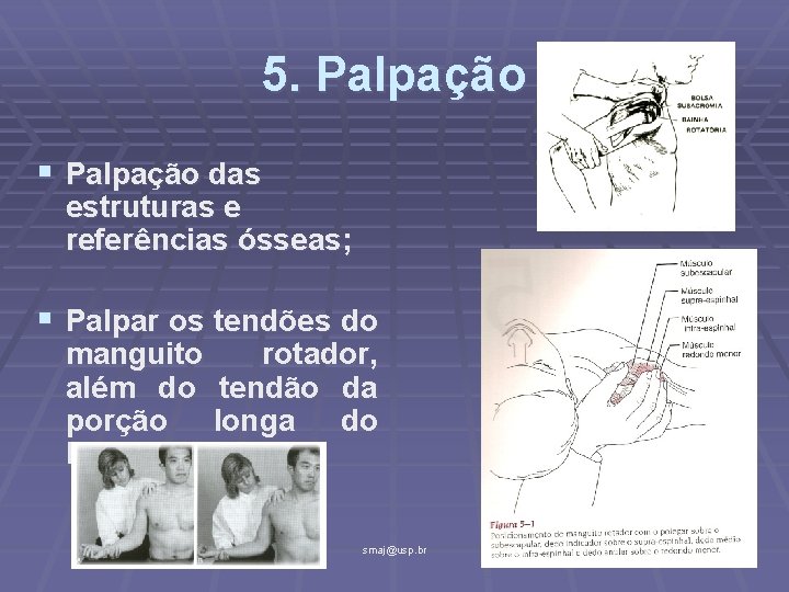 5. Palpação § Palpação das estruturas e referências ósseas; § Palpar os tendões do