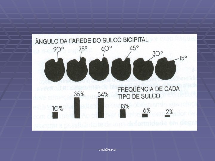 smaj@usp. br 
