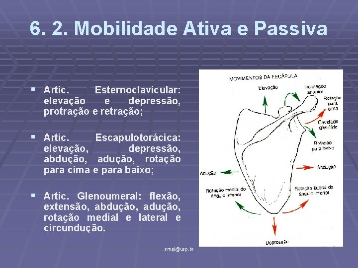 6. 2. Mobilidade Ativa e Passiva § Artic. Esternoclavicular: elevação e depressão, protração e