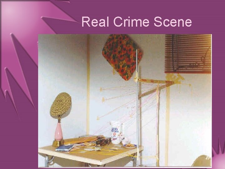 Real Crime Scene 