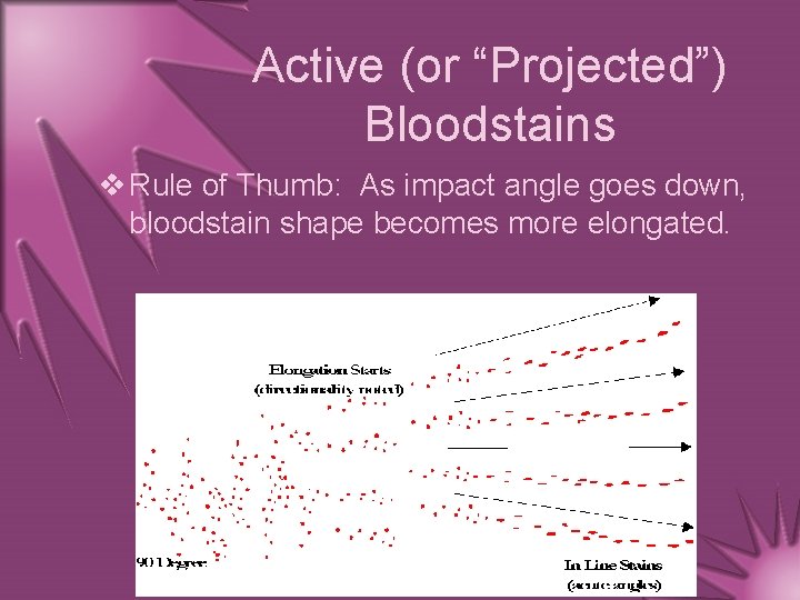 Active (or “Projected”) Bloodstains v Rule of Thumb: As impact angle goes down, bloodstain
