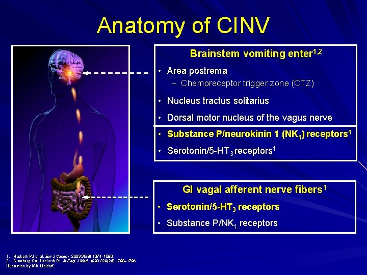 Anatomy of CINV Brainstem vomiting enter 1, 2 • Area postrema – Chemoreceptor trigger
