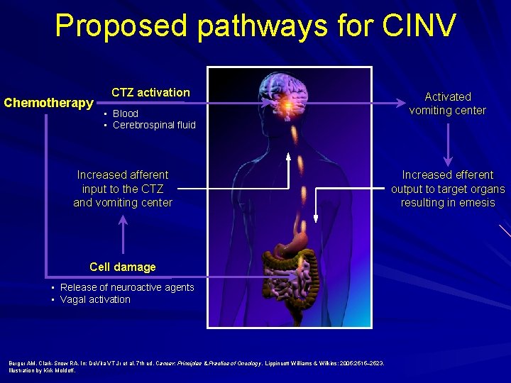 Proposed pathways for CINV Chemotherapy CTZ activation • Blood • Cerebrospinal fluid Increased afferent