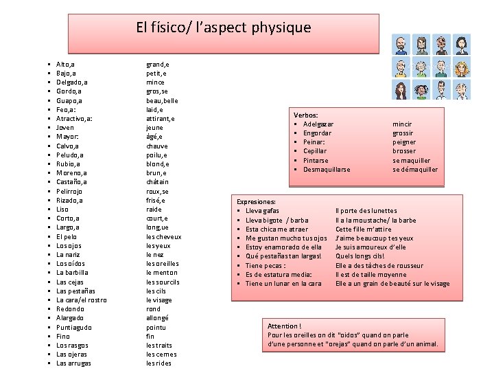 El físico/ l’aspect physique § § § § § § § § § Alto,