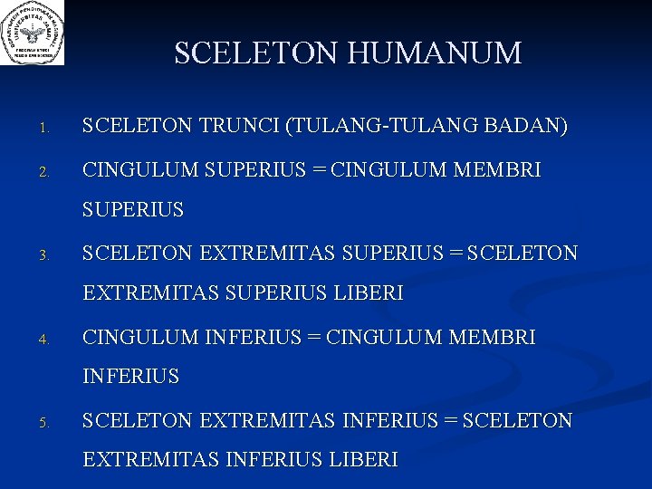 SCELETON HUMANUM 1. SCELETON TRUNCI (TULANG-TULANG BADAN) 2. CINGULUM SUPERIUS = CINGULUM MEMBRI SUPERIUS