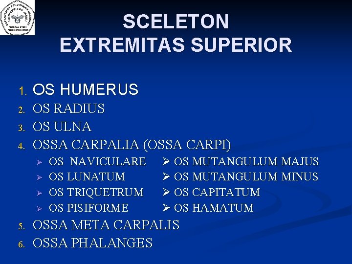 SCELETON EXTREMITAS SUPERIOR 1. OS HUMERUS 2. OS RADIUS OS ULNA OSSA CARPALIA (OSSA