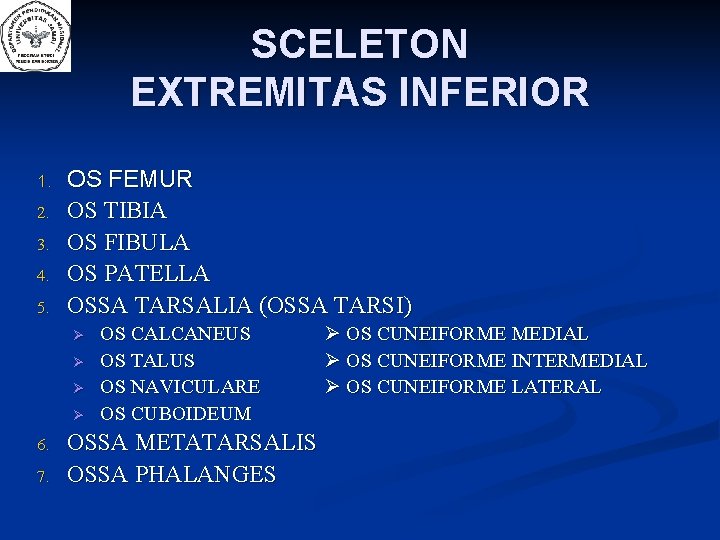 SCELETON EXTREMITAS INFERIOR 1. 2. 3. 4. 5. OS FEMUR OS TIBIA OS FIBULA