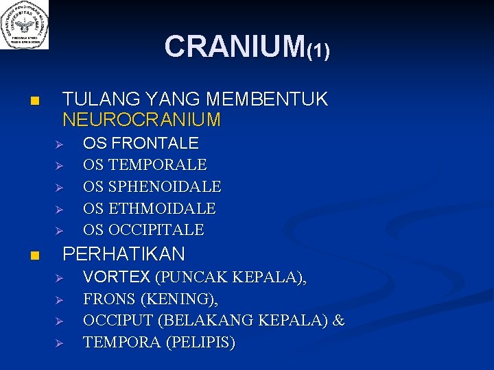CRANIUM(1) n TULANG YANG MEMBENTUK NEUROCRANIUM n OS FRONTALE OS TEMPORALE OS SPHENOIDALE OS