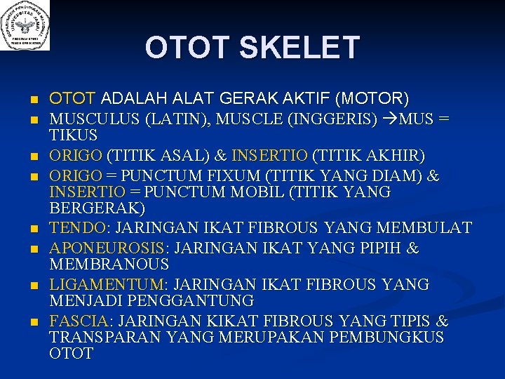 OTOT SKELET n n n n OTOT ADALAH ALAT GERAK AKTIF (MOTOR) MUSCULUS (LATIN),