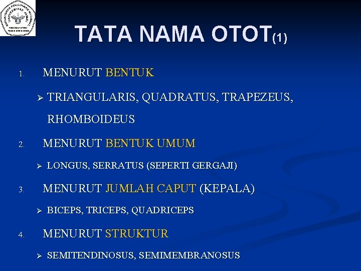 TATA NAMA OTOT(1) 1. MENURUT BENTUK TRIANGULARIS, QUADRATUS, TRAPEZEUS, RHOMBOIDEUS 2. MENURUT BENTUK UMUM