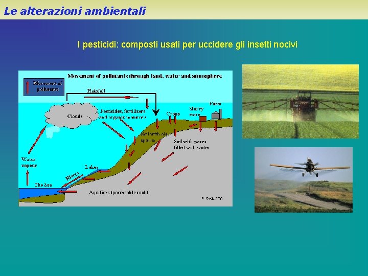 Le alterazioni ambientali I pesticidi: composti usati per uccidere gli insetti nocivi 