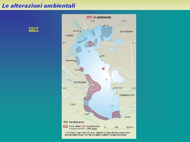 Le alterazioni ambientali DDT 