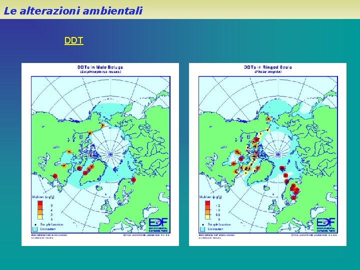 Le alterazioni ambientali DDT 