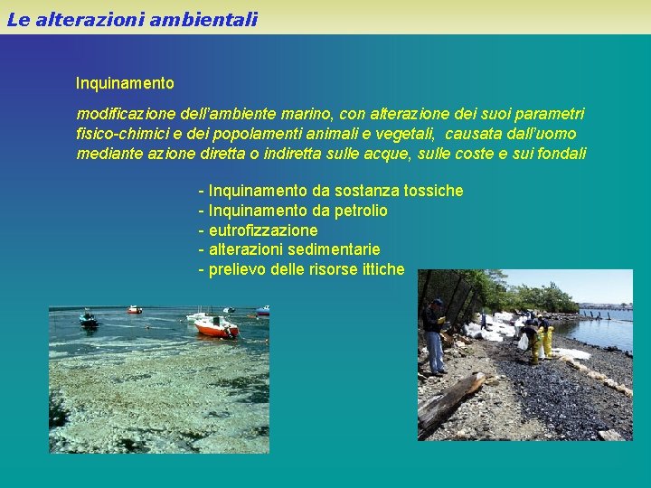 Le alterazioni ambientali Inquinamento modificazione dell’ambiente marino, con alterazione dei suoi parametri fisico-chimici e