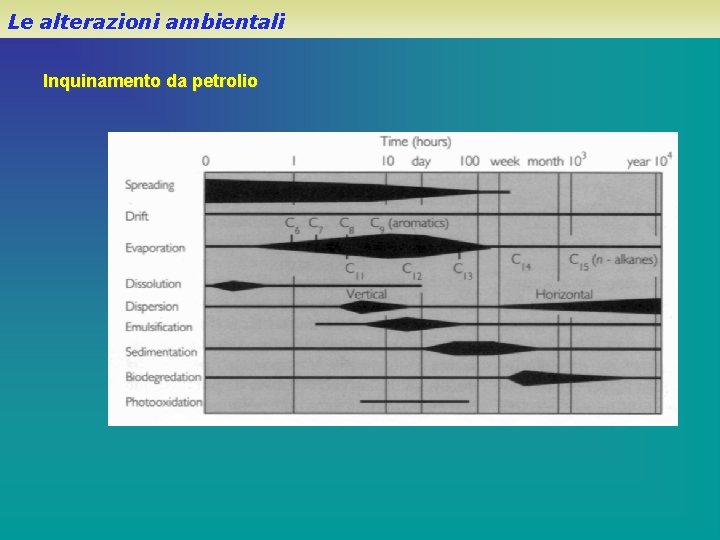 Le alterazioni ambientali Inquinamento da petrolio 