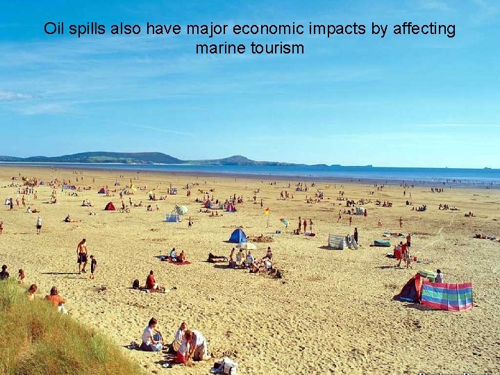 Oil spills also have major economic impacts by affecting marine tourism 
