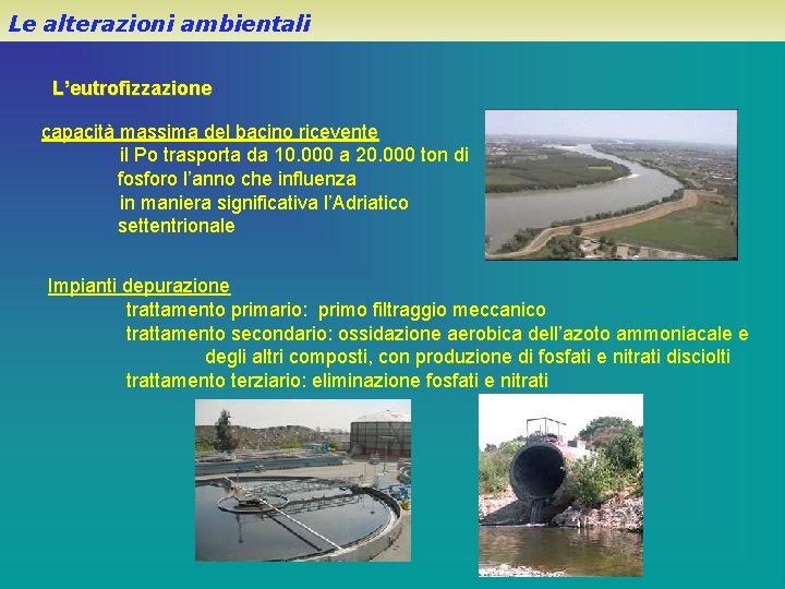 Le alterazioni ambientali L’eutrofizzazione capacità massima del bacino ricevente il Po trasporta da 10.