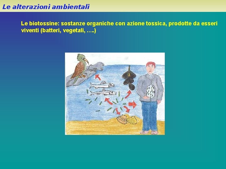 Le alterazioni ambientali Le biotossine: sostanze organiche con azione tossica, prodotte da esseri viventi