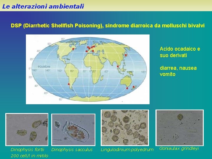 Le alterazioni ambientali DSP (Diarrhetic Shellfish Poisoning), sindrome diarroica da molluschi bivalvi Acido ocadaico