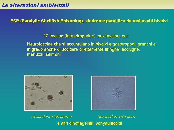 Le alterazioni ambientali PSP (Paralytic Shellfish Poisoning), sindrome paralitica da molluschi bivalvi 12 tossine