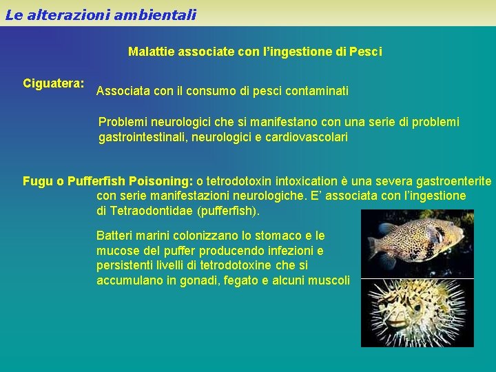 Le alterazioni ambientali Malattie associate con l’ingestione di Pesci Ciguatera: Associata con il consumo