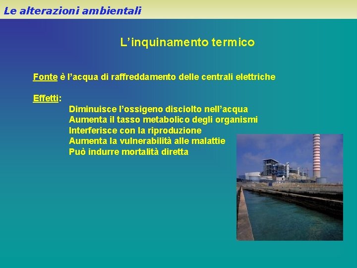 Le alterazioni ambientali L’inquinamento termico Fonte è l’acqua di raffreddamento delle centrali elettriche Effetti: