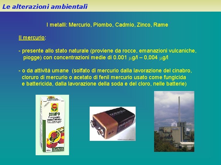Le alterazioni ambientali I metalli: Mercurio, Piombo, Cadmio, Zinco, Rame Il mercurio: - presente