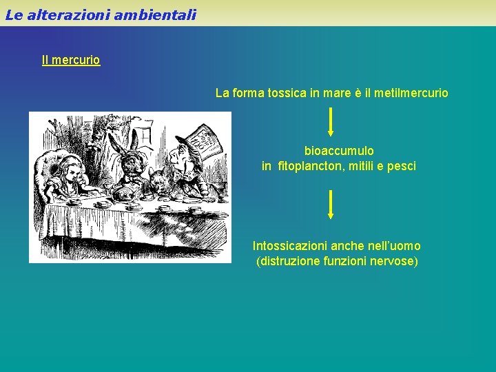 Le alterazioni ambientali Il mercurio La forma tossica in mare è il metilmercurio bioaccumulo