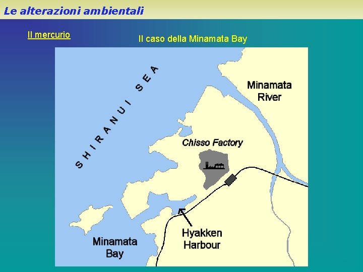 Le alterazioni ambientali Il mercurio Il caso della Minamata Bay 