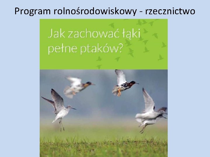 Program rolnośrodowiskowy - rzecznictwo 