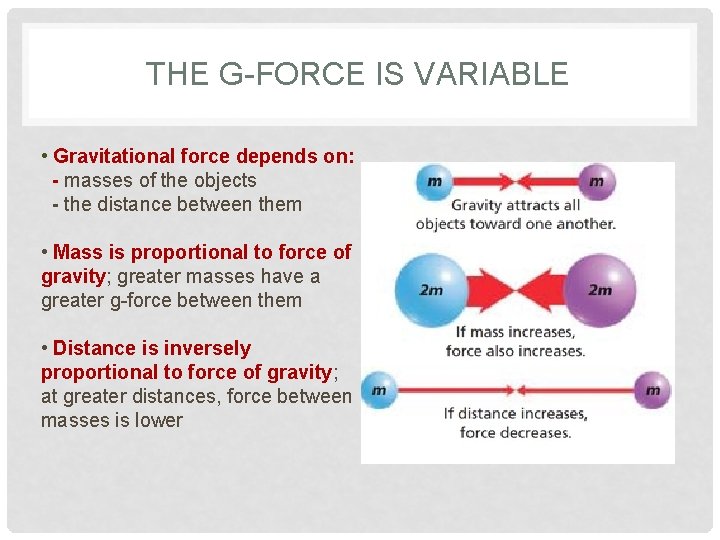 THE G-FORCE IS VARIABLE • Gravitational force depends on: - masses of the objects