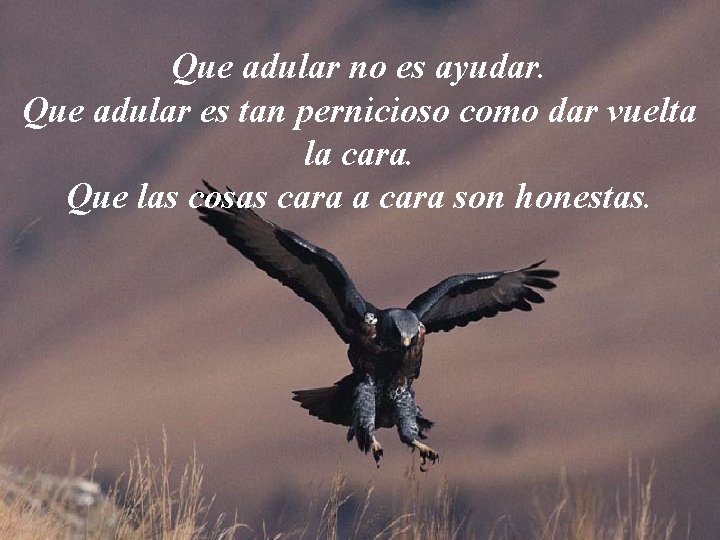Que adular no es ayudar. Que adular es tan pernicioso como dar vuelta la