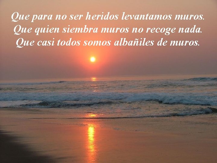 Que para no ser heridos levantamos muros. Que quien siembra muros no recoge nada.