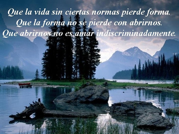 Que la vida sin ciertas normas pierde forma. Que la forma no se pierde