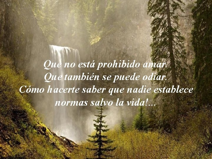 Que no está prohibido amar. Que también se puede odiar. Cómo hacerte saber que
