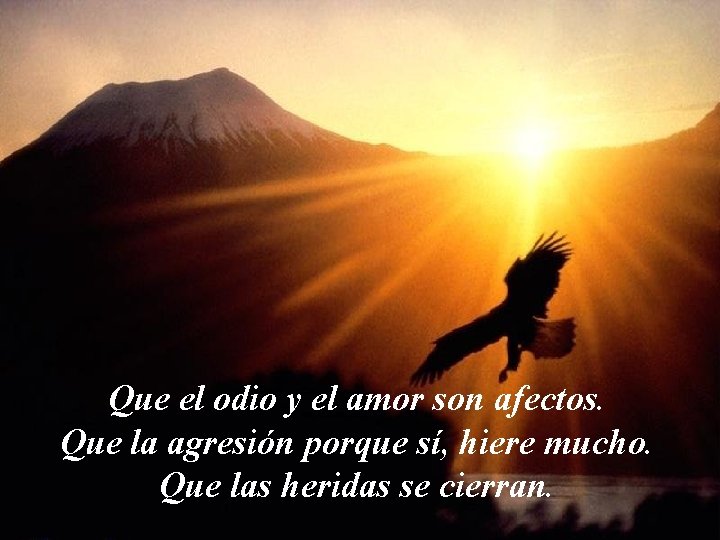 Que el odio y el amor son afectos. Que la agresión porque sí, hiere