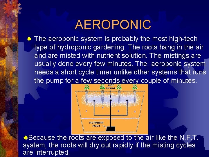 AEROPONIC ® The aeroponic system is probably the most high-tech type of hydroponic gardening.