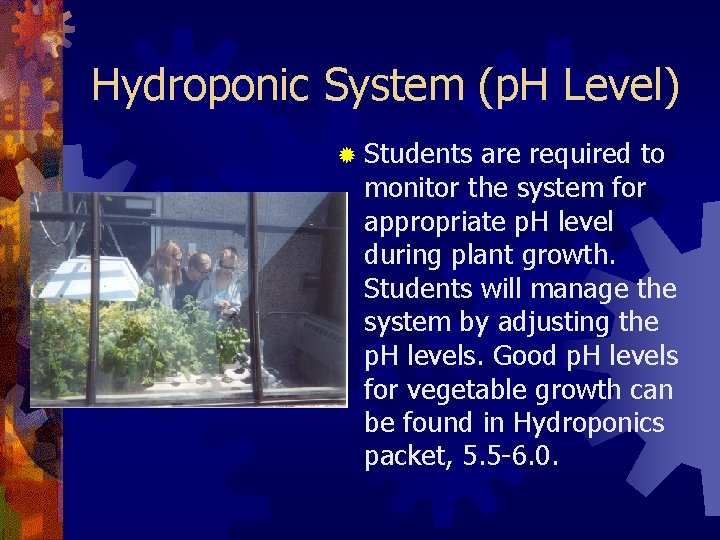 Hydroponic System (p. H Level) ® Students are required to monitor the system for