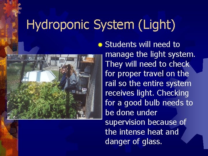 Hydroponic System (Light) ® Students will need to manage the light system. They will