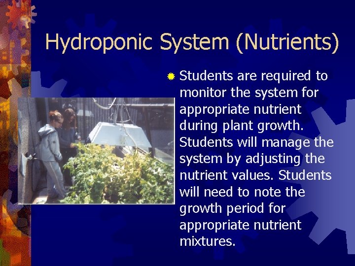 Hydroponic System (Nutrients) ® Students are required to monitor the system for appropriate nutrient
