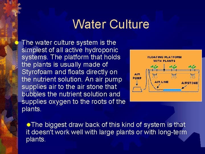 Water Culture ® The water culture system is the simplest of all active hydroponic