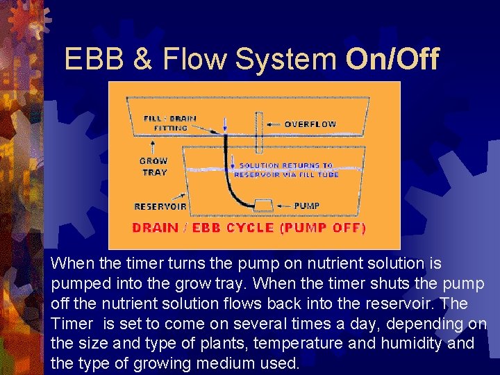 EBB & Flow System On/Off When the timer turns the pump on nutrient solution