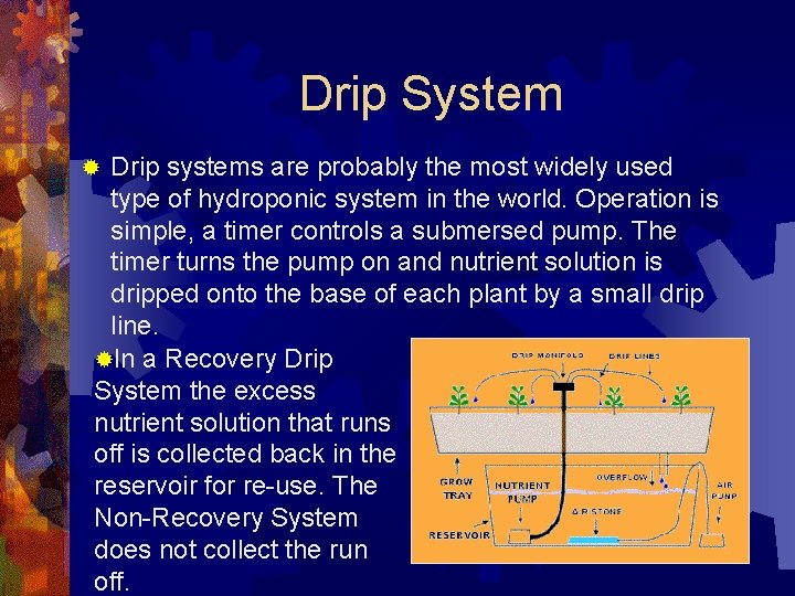 Drip System Drip systems are probably the most widely used type of hydroponic system