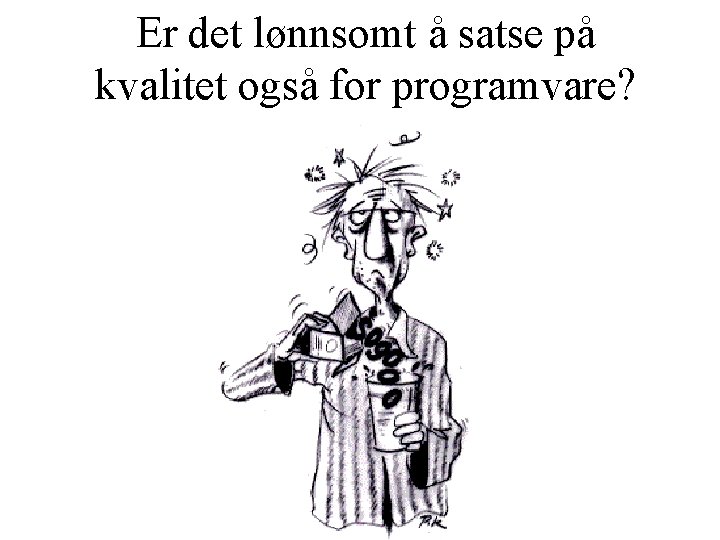 Er det lønnsomt å satse på kvalitet også for programvare? 