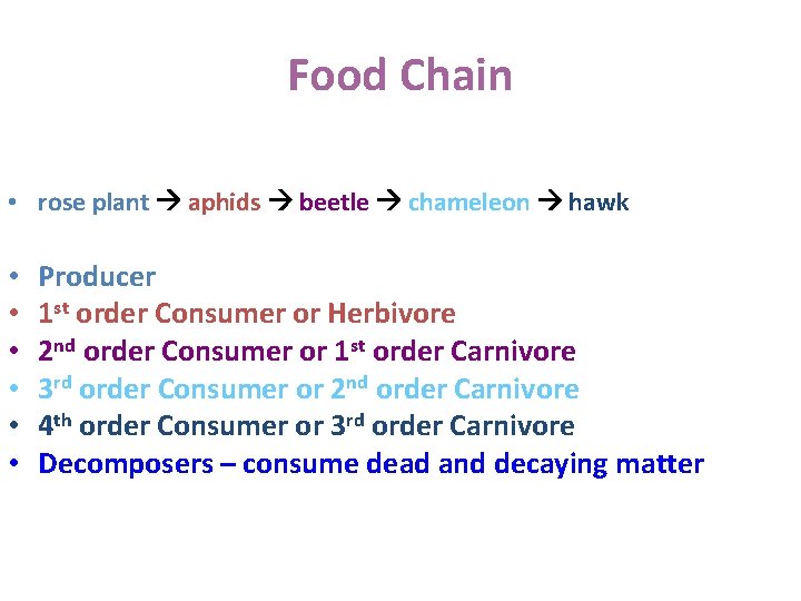 Food Chain • rose plant aphids beetle chameleon hawk • • • Producer 1