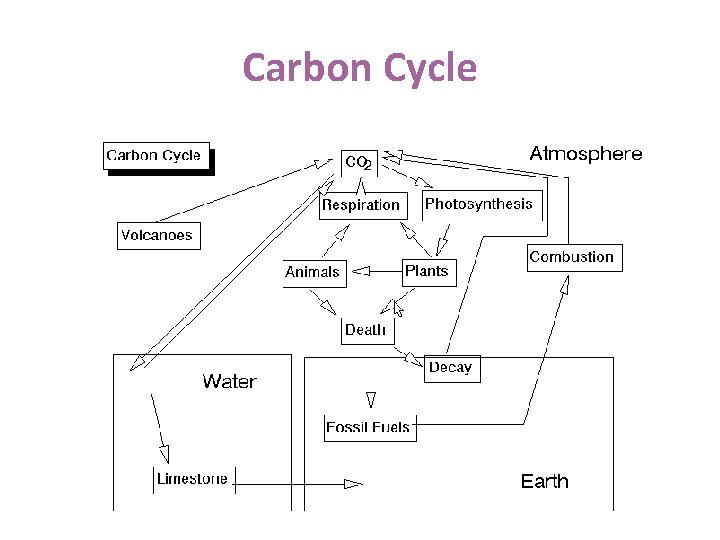 Carbon Cycle 