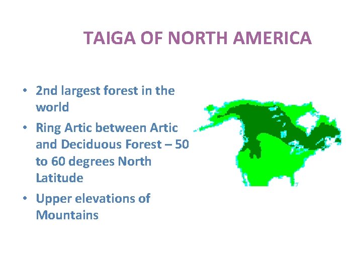  TAIGA OF NORTH AMERICA • 2 nd largest forest in the world •